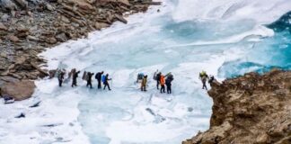 Best Treks In India For Summit Views