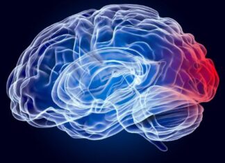 How Can You Prevent Yourself From Brain Diseases